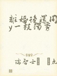 离婚后还同居by一枝独秀封面