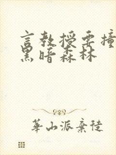 言教授要撞坏了黑暗森林封面