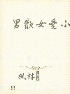 男欢女爱小说