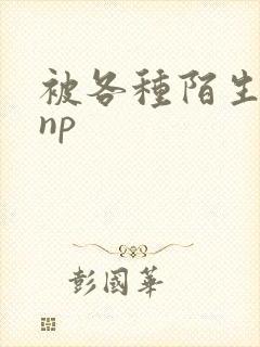 被各种陌生人 np