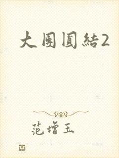 大团圆结2