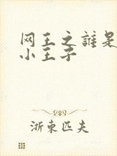 网王之谁是我的小王子