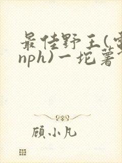 最佳野王(电竞nph)一坨薯饼