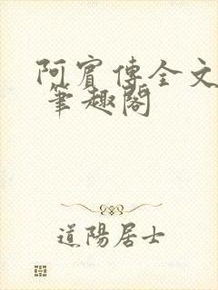 阿宾传全文阅读 笔趣阁