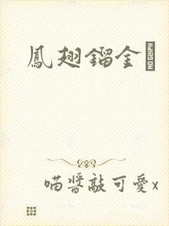 凤翅镏金镋封面