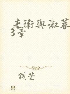 老卫与淑蓉第13章