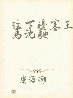 往下边塞玉器骑马沈驰封面