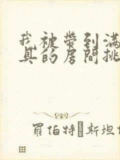 我被带到满是玩具的房间挑调作文