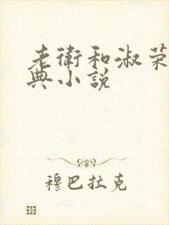 老卫和淑荣的经典小说