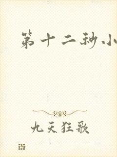 第十二秒小说