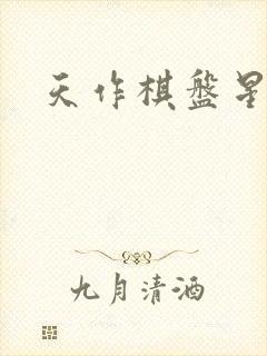 天作棋盘星作子