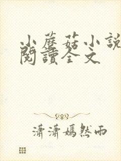 小蘑菇小说免费阅读全文