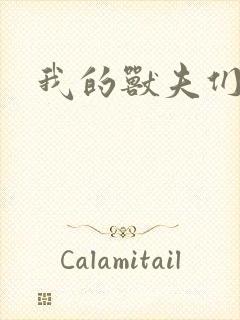 我的兽夫们封面