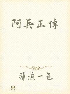 阿兵正传封面