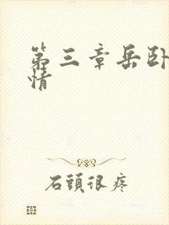 第三章岳卧室激情