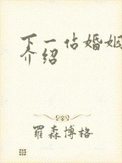 下一站婚姻剧情介绍