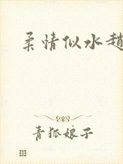 柔情似水赵雅儿