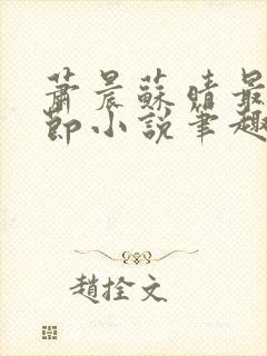 萧晨苏晴最新章节小说笔趣阁