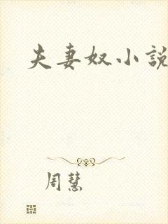 夫妻奴小说封面