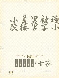 小美男被迫卖屁股接男客小说