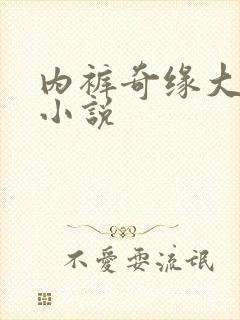 内裤奇缘大团结小说封面