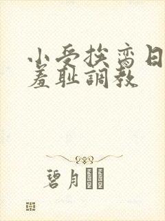 小受挨脔日常h羞耻调教封面