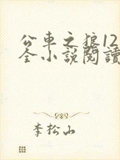 公车之狼12集全小说阅读封面