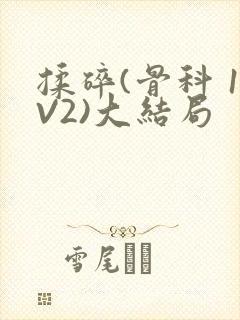 揉碎(骨科 1V2)大结局