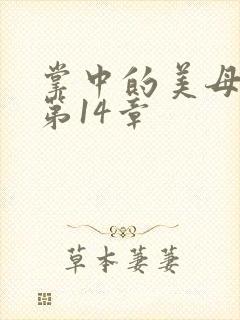 掌中的美母版主第14章