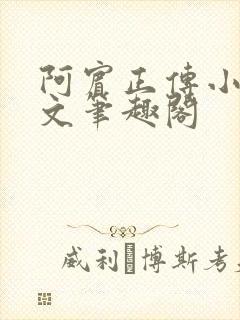 阿宾正传小说全文笔趣阁