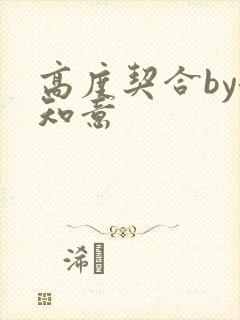 高度契合by洛知意封面