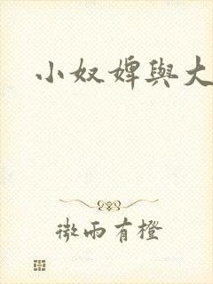 小奴婢与大少爷