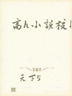 高h小说校园