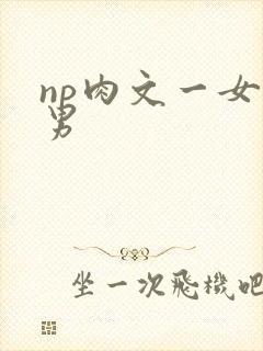 np肉文一女多男封面