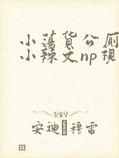 小荡货公厕h文小辣文np视频