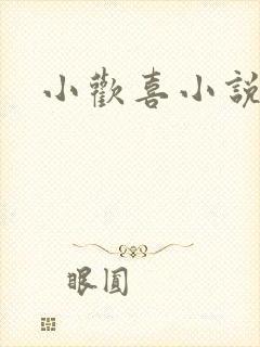 小欢喜小说