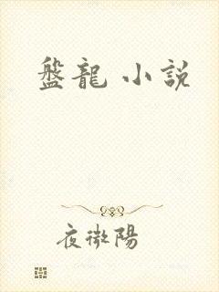 盘龙 小说