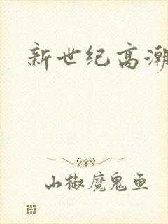 新世纪高潮战队