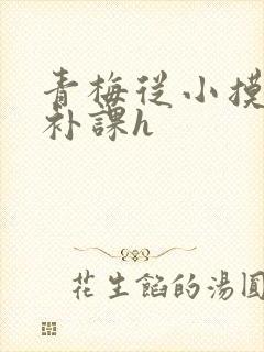 青梅从小摸到大补课h