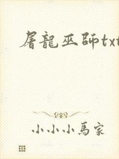 屠龙巫师txt