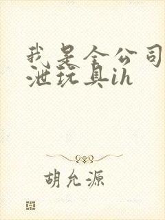 我是全公司的发泄玩具ih封面