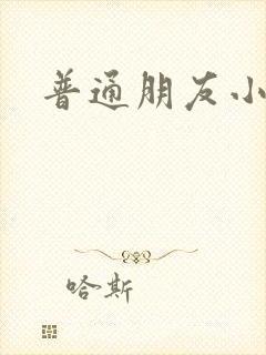 普通朋友小说