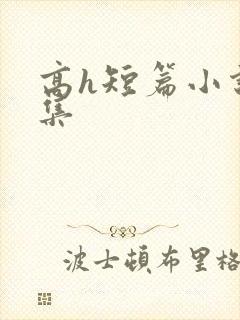 高h短篇小说合集封面