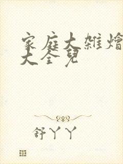 家庭大杂烩小说大全儿