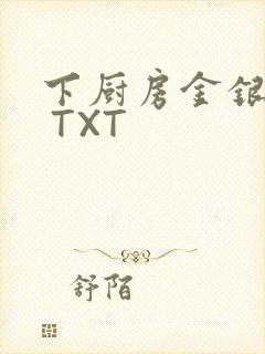 下厨房金银花露 TXT封面