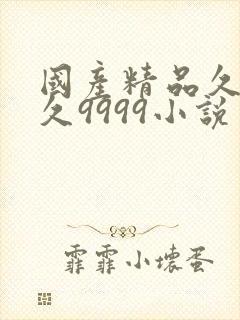 国产精品久久久久9999小说