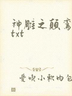 神雕之颠鸾倒凤txt
