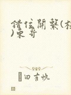 错位关系(校园)东哥