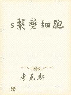 s系双细胞