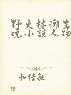 野火林潮生林晚晚小说人物野火